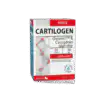 CARTILOGEN FORTE