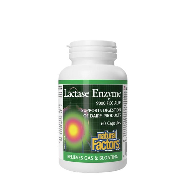 Natural Factors Lactase Enzyme (60 cápsulas) – imagen 1